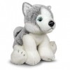 Tobar-Tobar-37238-Peluche Husky, Animigos World of Nature, 37238, Gris et Blanc