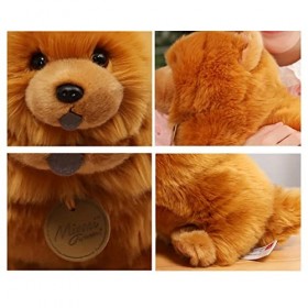 PAPABA Chiot Jouet en Peluche Exquis Peluche poupée Animal en Peluche Chow Chow Jouet décoratif Doux Mignon