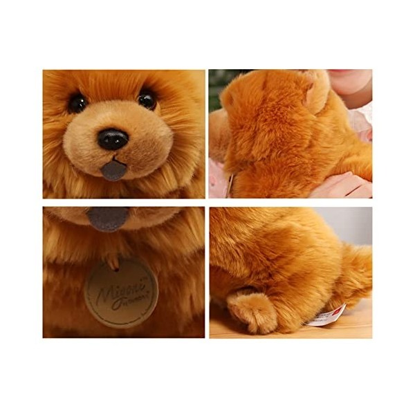 PAPABA Chiot Jouet en Peluche Exquis Peluche poupée Animal en Peluche Chow Chow Jouet décoratif Doux Mignon