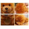 PAPABA Chiot Jouet en Peluche Exquis Peluche poupée Animal en Peluche Chow Chow Jouet décoratif Doux Mignon