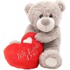 ILOVEFANCYDRESS Ours en Peluche Gris de 40 cm Tenant dans Ces Bras Un cœur sur lequel est écrit I Love You. Ideal pour la St.