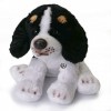 Kuscheltiere.biz Cavalier King Charles - Peluche - Chien - George