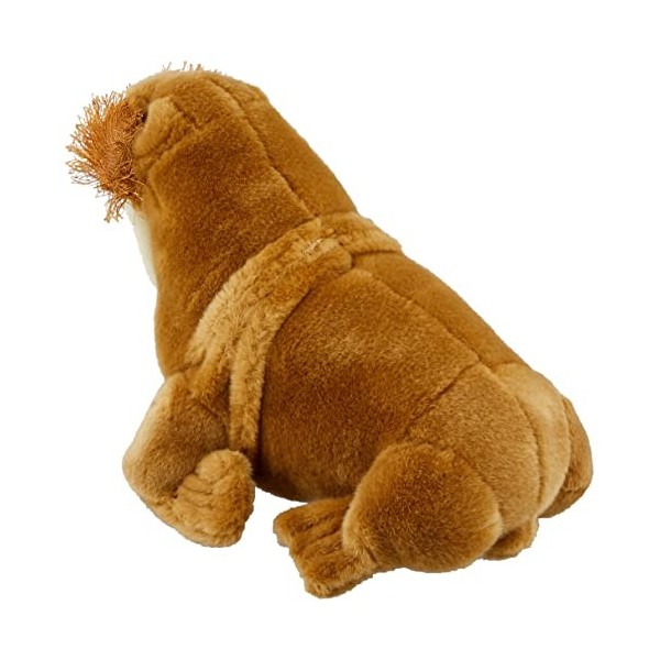 Geographics National "morse Animaux en peluche jouet en peluche Taille moyenne, naturel 