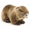 Uni-Toys - Nutria - 21 cm Longueur - Peluche Rongeur, Rat Castor, Loutre des Marais - Peluche, Doudou