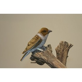 HANSA Peluche Oiseau Mouchet 14cmH