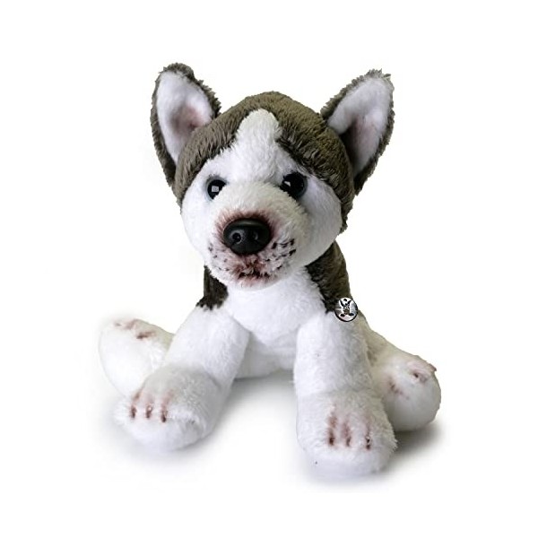 Husky Kenai Peluche chien de traîneau assis gris blanc