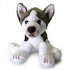Husky Kenai Peluche chien de traîneau assis gris blanc