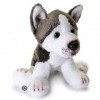 Husky Kenai Peluche chien de traîneau assis gris blanc