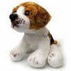 Beagle Doudou pour chien en peluche Molly – Doudou *biz