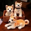 Peluche Shiba Inu, Simulation Chien Peluche Jouets, Doudou Poupée en Peluche, Bébé Première Poupée, Coussin en Peluche de Can