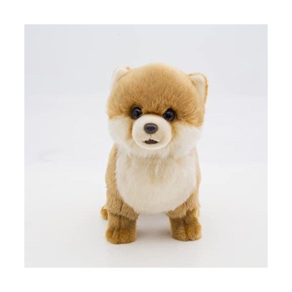 CU-MATE 12 Pomeranian Simulation Peluche Chien - Peluches réalistes Chiot Jouets en Peluche Chien - Cadeau Mignon pour Ani