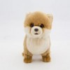 CU-MATE 12 Pomeranian Simulation Peluche Chien - Peluches réalistes Chiot Jouets en Peluche Chien - Cadeau Mignon pour Ani