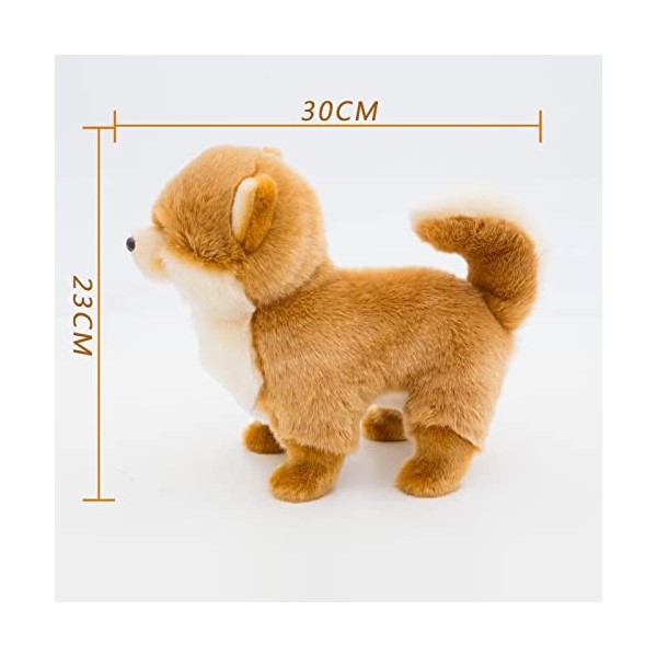 CU-MATE 12 Pomeranian Simulation Peluche Chien - Peluches réalistes Chiot Jouets en Peluche Chien - Cadeau Mignon pour Ani