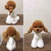 Mr. Jiang Tête dours en peluche pour la pratique du toiletteur – Modèle de chien artificiel pour mannequin – Apprendre les t