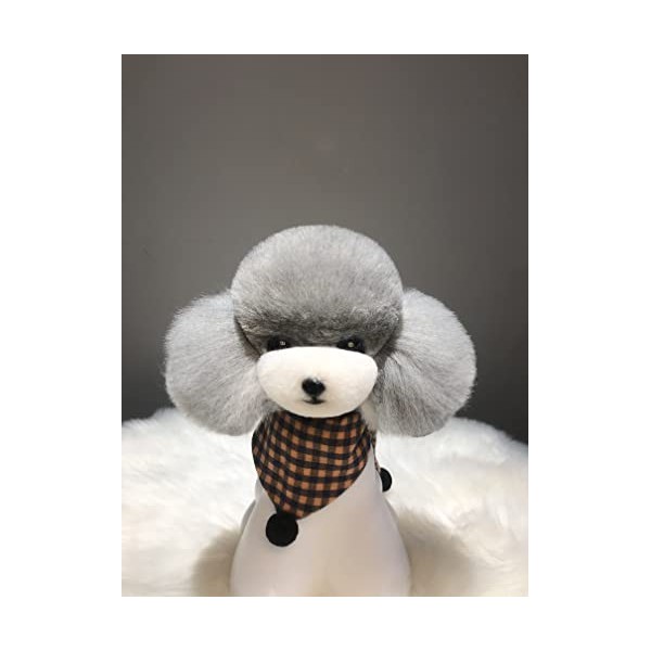 Mr. Jiang Tête dours en peluche pour la pratique du toiletteur – Modèle de chien artificiel pour mannequin – Apprendre les t