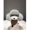 Mr. Jiang Tête dours en peluche pour la pratique du toiletteur – Modèle de chien artificiel pour mannequin – Apprendre les t