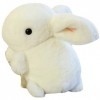 Toyvian 2 Pièces Lapin en Peluche Jouets pour Enfants Kidcraft Playset Enfants Cadeaux Chiens en Peluche pour Enfants Cadeaux