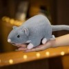 NOpinz Mignon Doux en Peluche Souris poupée en Peluche Souris Peluche Animal Jouet Enfants Jouet Mascotte décoration Cadeau 3