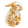 Uni-Toys - Lapin tête de Lion avec Oreilles suspendues - Debout - chèqué doré et Blanc - 23 cm Hauteur - Lapin en Peluche -