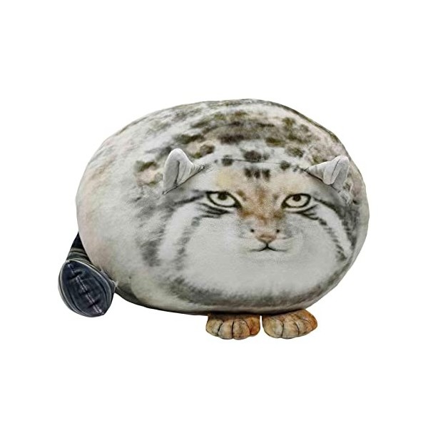 Elinrat Animaux en Peluche Chat - Oreiller en Peluche pour Chat en Peluche pour Chat, Chaton en Peluche Doux,Adorable Chaton 