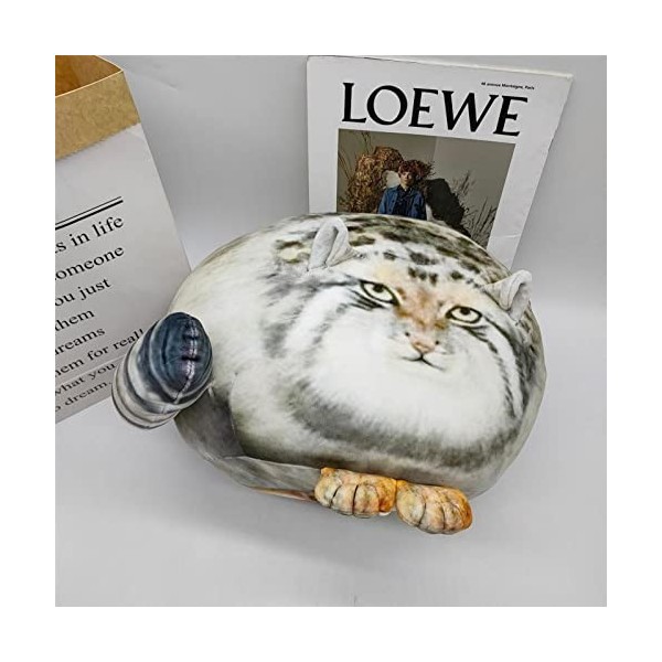 Elinrat Animaux en Peluche Chat - Oreiller en Peluche pour Chat en Peluche pour Chat, Chaton en Peluche Doux,Adorable Chaton 