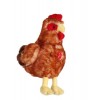 Gipsy- Poule rousse 22 cm, 070353