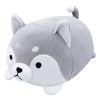 Peluche Husky Animaux en Peluche Coussin Géant Coussin Peluche Kawaii Peluche Chien Oreiller Husky Jouet Coussin pour Chien C