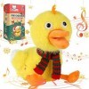 SWTOIPIG Jouet de Canard en Peluche, Cou de Canard étiré, Chant et Son de Canard, Jouets en Peluche, Jouets éducatifs pour En