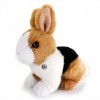 Lapin Lapin Peluche Peluche Lapin Hoppel