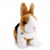 Lapin Lapin Peluche Peluche Lapin Hoppel