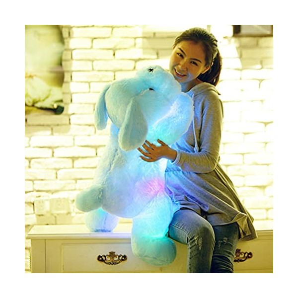 URFEDA Coussin lumineux LED pour chiot-Jouet en peluche-Pour enfants-Bleu-30 cm,HYDS03-00565