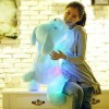 URFEDA Coussin lumineux LED pour chiot-Jouet en peluche-Pour enfants-Bleu-30 cm,HYDS03-00565