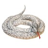 Serpent en Peluche Géant 110 cm 200 cm Faux Serpent Boa Jouet Doux et Moelleux Idée Cadeau pour Enfants et Adultes Noir-Serp