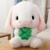 CAWACH Peluche Lapin Oreilles Longues Radis Petit Lapin Blanc poupée Oreiller Grande poupée Mignonne-B, 43cm