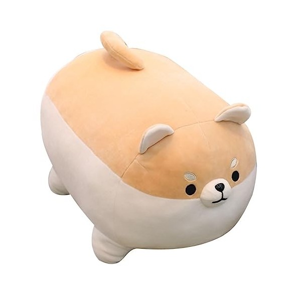 ERINGOGO Peluche Animal Pilule pour Animaux De Compagnie Jouets pour Animaux De Compagnie Chiot Gros Chien Chiffon Enfant