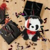 Didiseaon Diplômé Ph.d. Panda Oreiller Câlin danimaux Peluche Panda Joli Oreiller en Peluche Poupées Panda De Remise des Dip