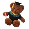 ERINGOGO Poupée Dr Ours Peluche De Graduation 2023 Jouet en Peluche Domestique Animal en Peluche De Remise des Diplômes Ours 