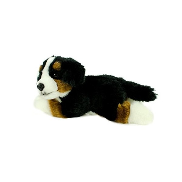 Teddys Rothenburg Peluche chien de montagne bernois 25 cm noir/marron/blanc couché