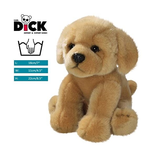 Carl Dick Peluche Golden Retriever Assis, 22cm 3133