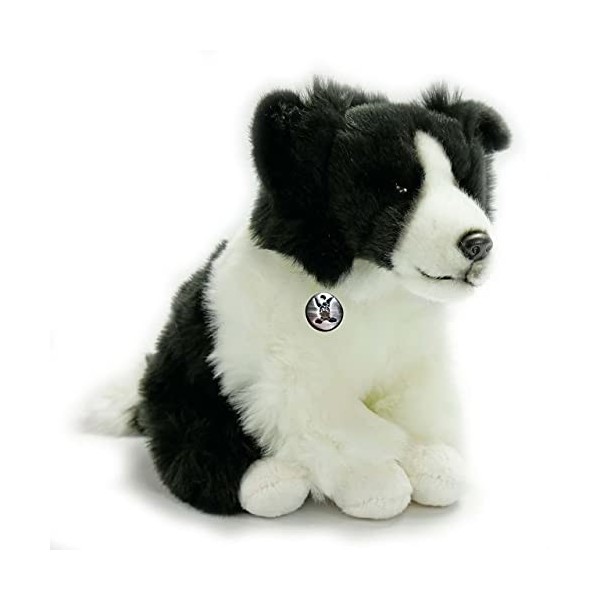 Border Collie Chester Chien assis Noir/blanc