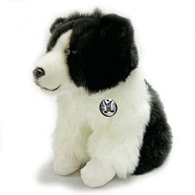 Border Collie Chester Chien assis Noir/blanc