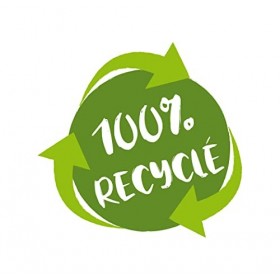 Jemini 024164 Les JEMINOSAURES Peluche Dinosaure Pteranodon +/- 32 cm 100% recyclé