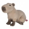 FANCY Capybara en Peluche 24cm – Peluche Mignonne de Capybara pour Enfant et Adulte Idée de Cadeau Noël et Anniversaire pour 