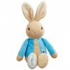 Rainbow Designs Mon Premier Jouet en Peluche Pierre Lapin - Peluche Officielle du Lapin de Beatrix Potter pour bébés et Tout-