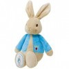 Rainbow Designs Mon Premier Jouet en Peluche Pierre Lapin - Peluche Officielle du Lapin de Beatrix Potter pour bébés et Tout-