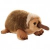 Plush & Company - 15849 - Peluche - Edith - Echidna - 30 Cm