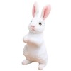 Toyvian Poupée De Lapin Jouet en Peluche du Zodiaque Chinois Statue De Lapin Chanceux Peluche Bébé Poupées pour Garçons Cadea