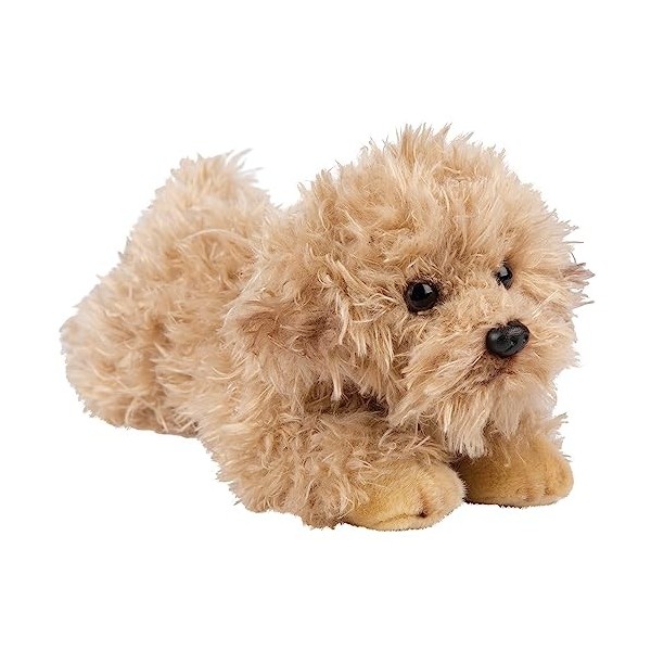 Suki Gifts 12149 Peluche Labradoodle pour Chien Multicolore