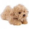 Suki Gifts 12149 Peluche Labradoodle pour Chien Multicolore