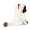 DIKACA Animal en Peluche Poupée en Peluche Peluche Chat Poupée Oreiller Chat Poupée Chat Siamois Animal en Peluche Chaton Ore